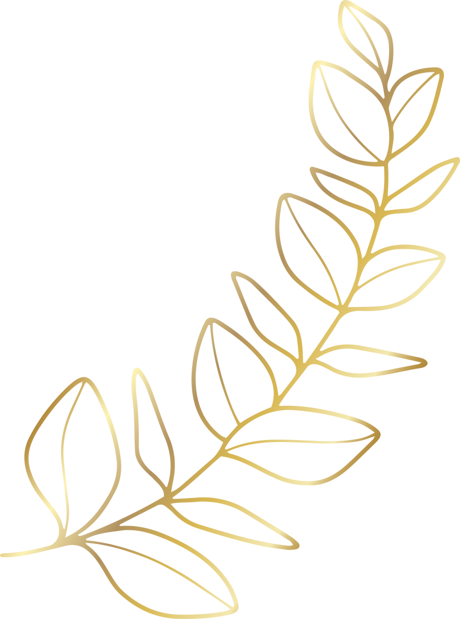 Golden eucalyptus branch